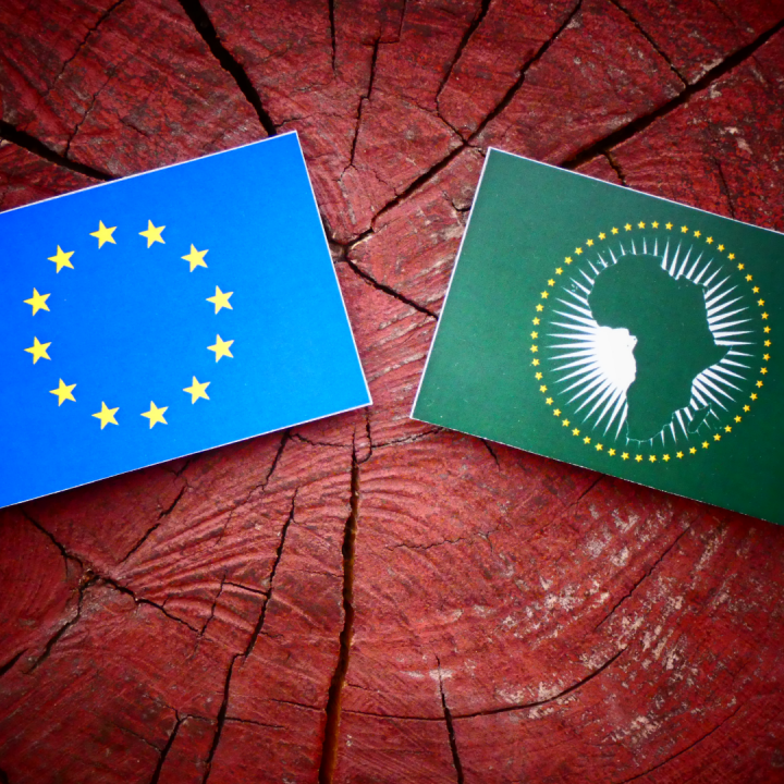 Holzstamm mit Flagge der Europäischen Union und der Flagge der Afrikanischen Unionlagge