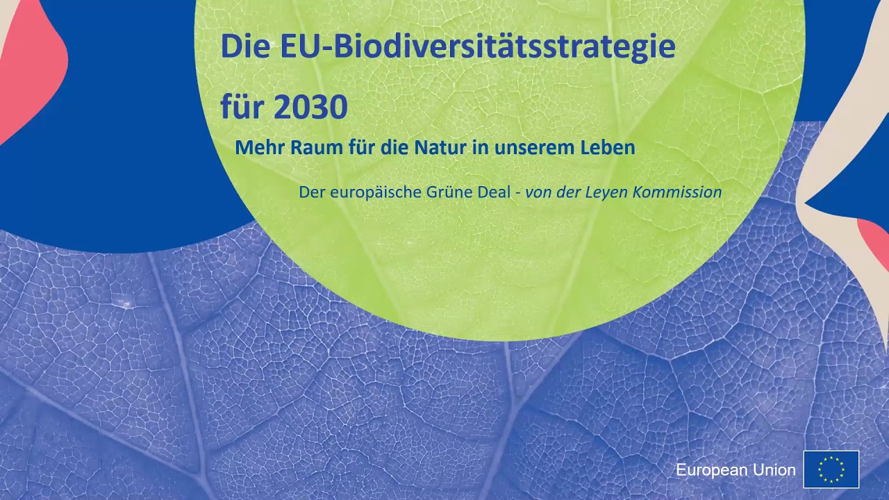 Biodiversitätsstrategie für 2030 - in Bremen und Bremerhaven